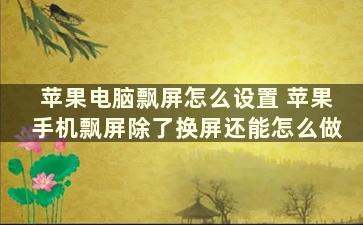 苹果电脑飘屏怎么设置 苹果手机飘屏除了换屏还能怎么做